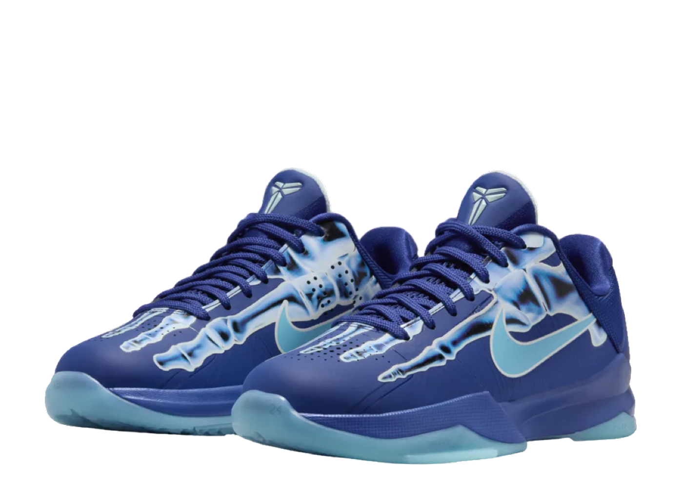 社交ダンス kobe V(GS) 5y size 23.5 社交ダンス kobe V(GS) 5y size 23.5 Amazon.com | Kobe 8 Big